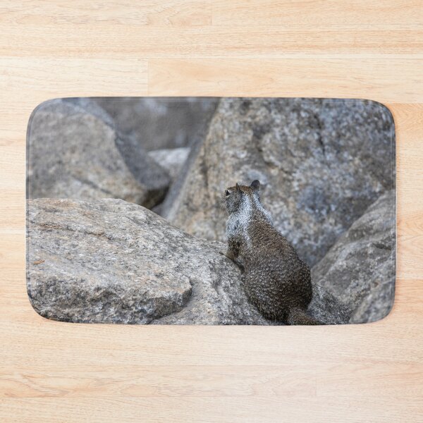 Item preview, California Ground Squirrel on Granite Rocks, Yosemite 1 designed and sold by jrtwynam.