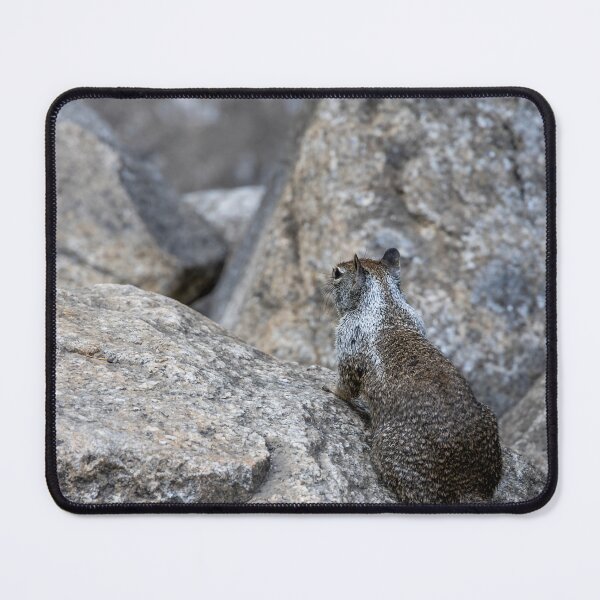 Item preview, California Ground Squirrel on Granite Rocks, Yosemite 1 designed and sold by jrtwynam.