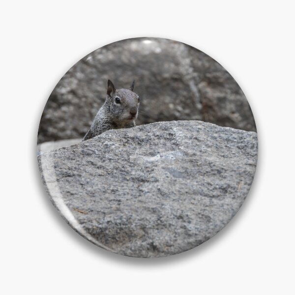 Item preview, California Ground Squirrel on Granite Rocks, Yosemite 2 designed and sold by jrtwynam.