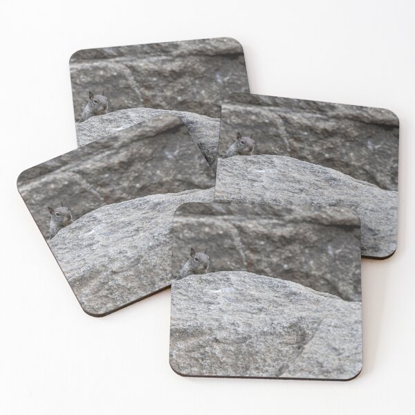 Item preview, California Ground Squirrel on Granite Rocks, Yosemite 2 designed and sold by jrtwynam.
