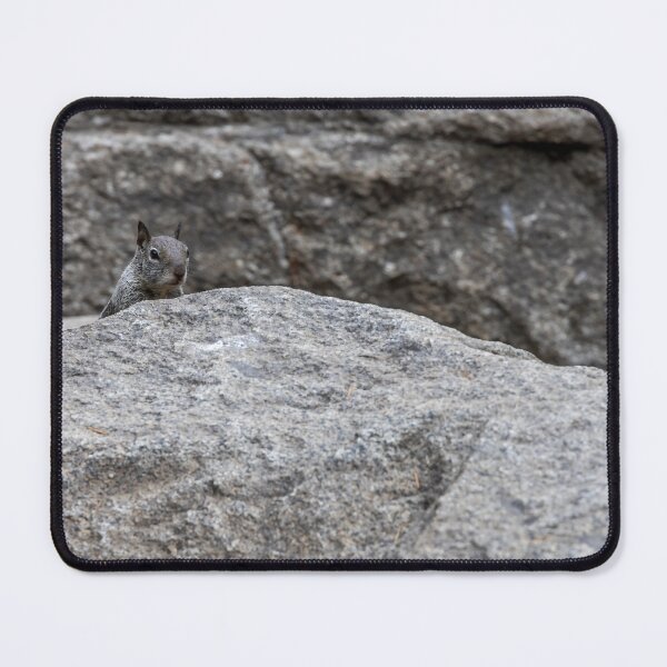 Item preview, California Ground Squirrel on Granite Rocks, Yosemite 2 designed and sold by jrtwynam.