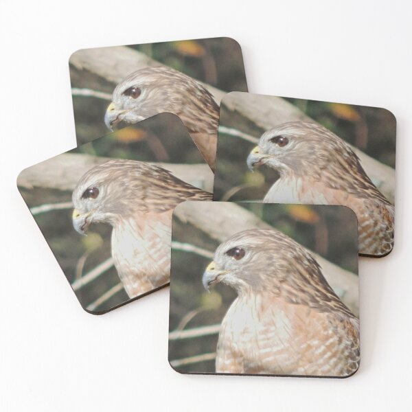 Item preview, Hawk close up  designed and sold by Jmb67.