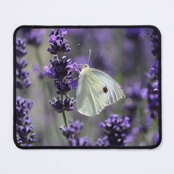 Item preview, Cabbage White Butterfly Amongst Lavender designed and sold by Imladris01.