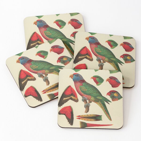 Item preview, Vintage Parrot Scientific Illustration - Antique Ornithology Print  designed and sold by InnerCitadel.