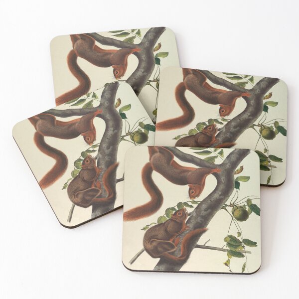 Item preview, Vintage Scientific Illustration Squirrels – Retro Natural History Art designed and sold by InnerCitadel.
