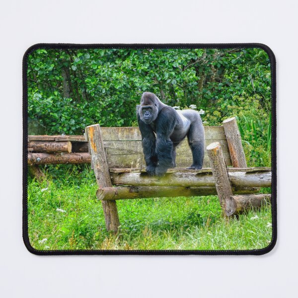 Item preview, Gorilla in Paignton zoo designed and sold by sicowboy.