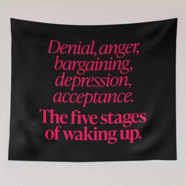 Item preview, The five stages of waking up. v.7 designed and sold by x1brett.