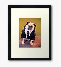 Pug as Frank from Men in Black Framed Print