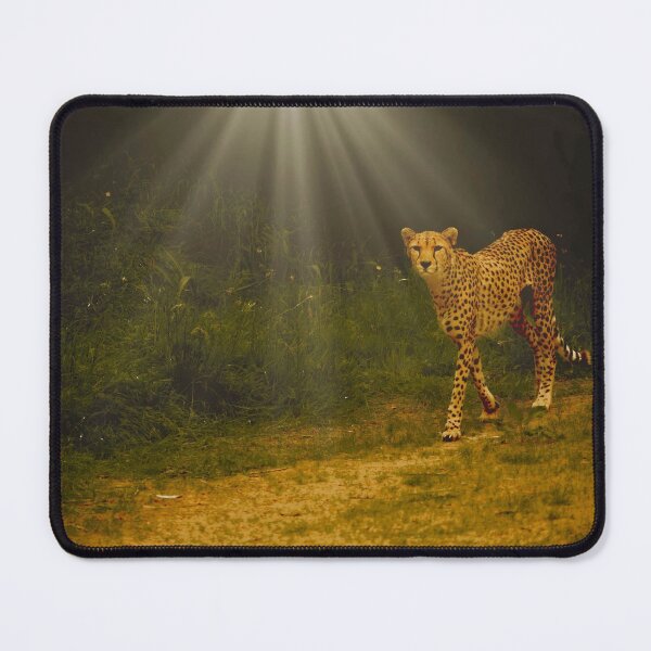 Item preview, Cheetah designed and sold by sicowboy.
