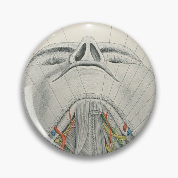 Item preview, Vintage Human Anatomy Illustration  designed and sold by InnerCitadel.