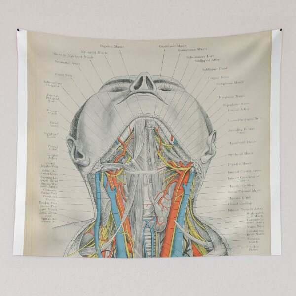 Item preview, Vintage Human Anatomy Illustration  designed and sold by InnerCitadel.