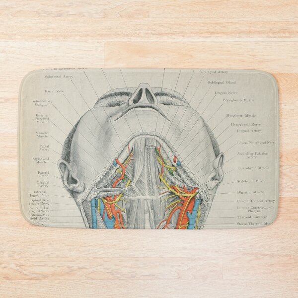 Item preview, Vintage Human Anatomy Illustration  designed and sold by InnerCitadel.