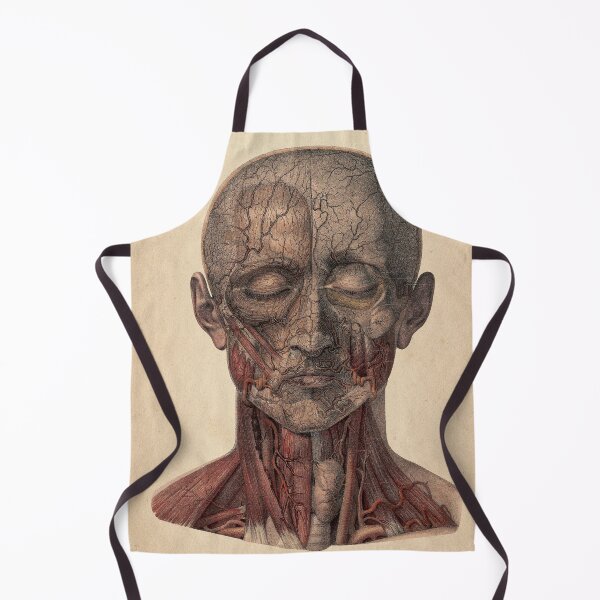 Item preview, Vintage Human Anatomy Medical Illustration designed and sold by InnerCitadel.