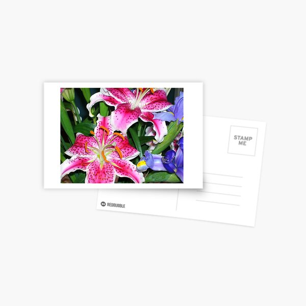 Mothers Day Postcard
