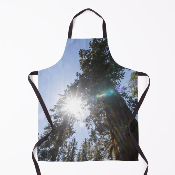 Item preview, Sunburst Through Giant Sequoia in Yosemite designed and sold by jrtwynam.