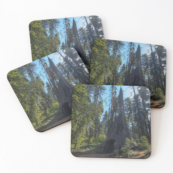 Item preview, Dead Giant Tunnel Tree in Yosemite 1 designed and sold by jrtwynam.