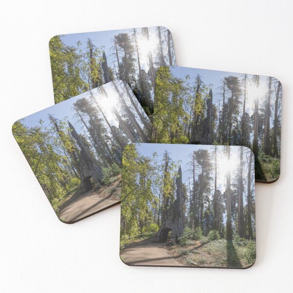 Item preview, Dead Giant Tunnel Tree in Yosemite 2 designed and sold by jrtwynam.