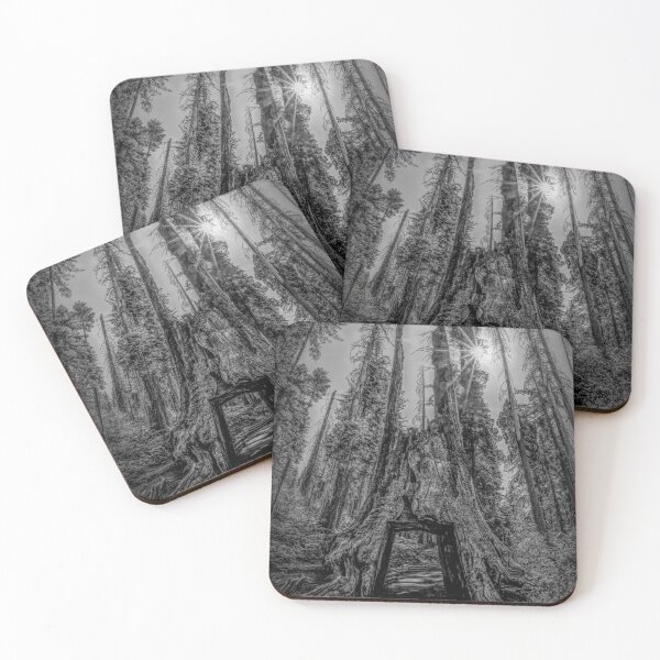 Item preview, Dead Giant Tunnel Tree in Yosemite 3 BW designed and sold by jrtwynam.