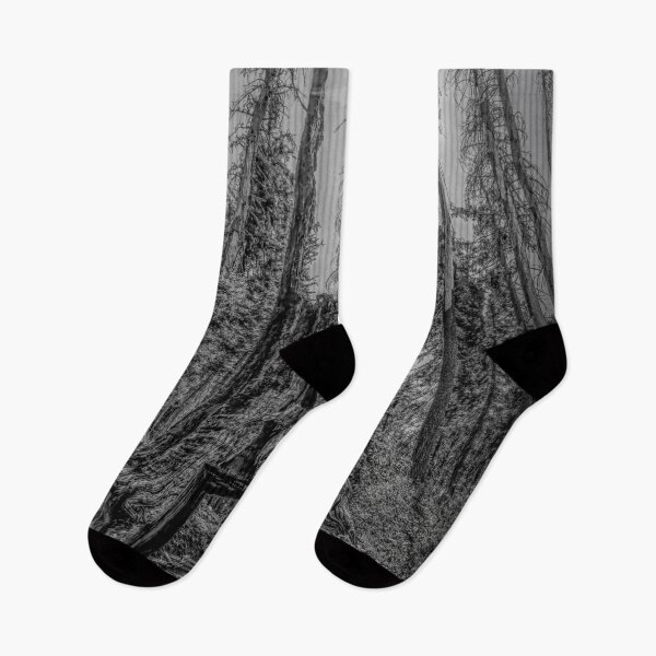 Item preview, Dead Giant Tunnel Tree in Yosemite 3 BW designed and sold by jrtwynam.
