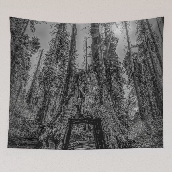 Item preview, Dead Giant Tunnel Tree in Yosemite 3 BW designed and sold by jrtwynam.
