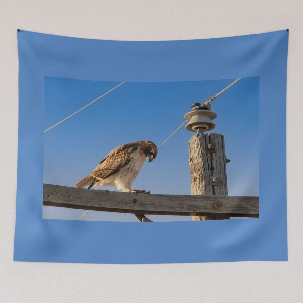 Item preview, Same Thing For Breakfast Again designed and sold by Debra Martz.