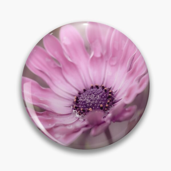 Item preview, Osteospermum Daisy designed and sold by Tanya C  Smith.