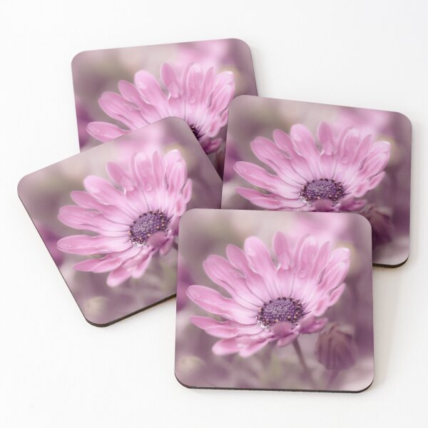 Item preview, Osteospermum Daisy designed and sold by Tanya C  Smith.