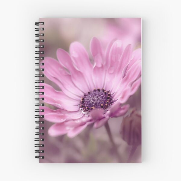 Item preview, Osteospermum Daisy designed and sold by Tanya C  Smith.