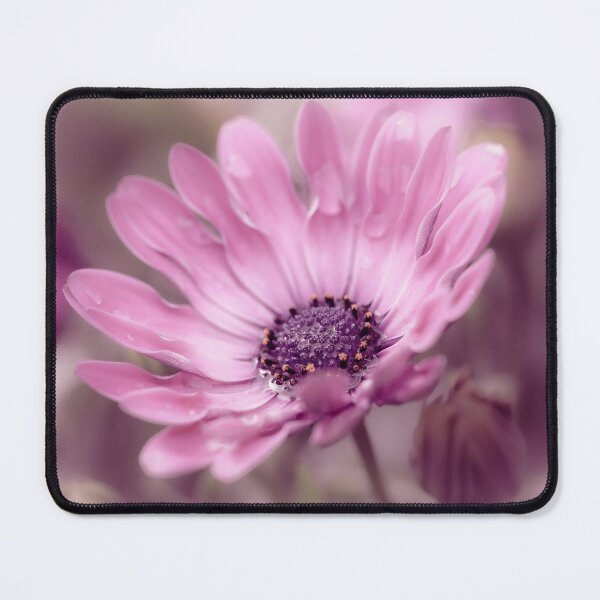 Item preview, Osteospermum Daisy designed and sold by Tanya C Smith.