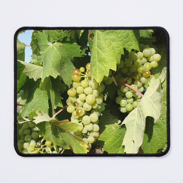 Item preview, Grape designed and sold by Bradipino.