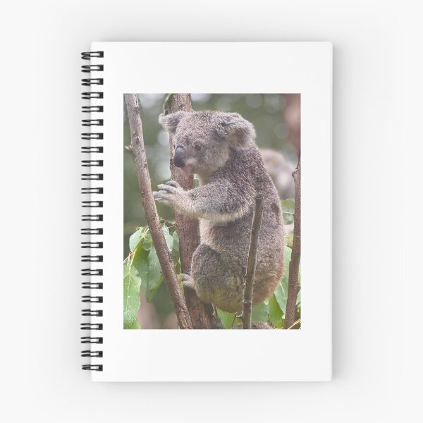 Item preview, CAPTIVE KOALA designed and sold by trevorp.