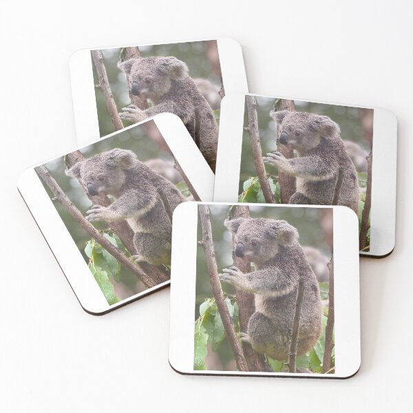 Item preview, CAPTIVE KOALA designed and sold by trevorp.
