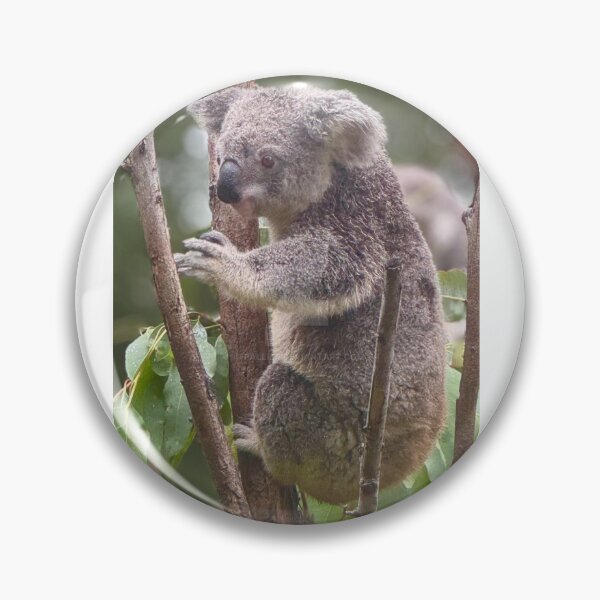 Item preview, CAPTIVE KOALA designed and sold by trevorp.