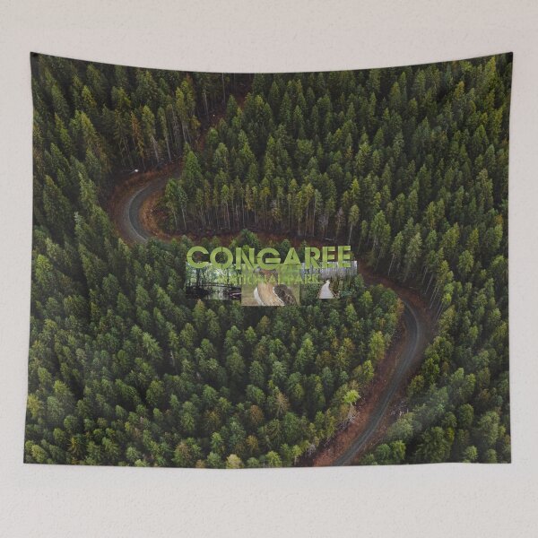 Item preview, Congaree National Park designed and sold by teepossible.