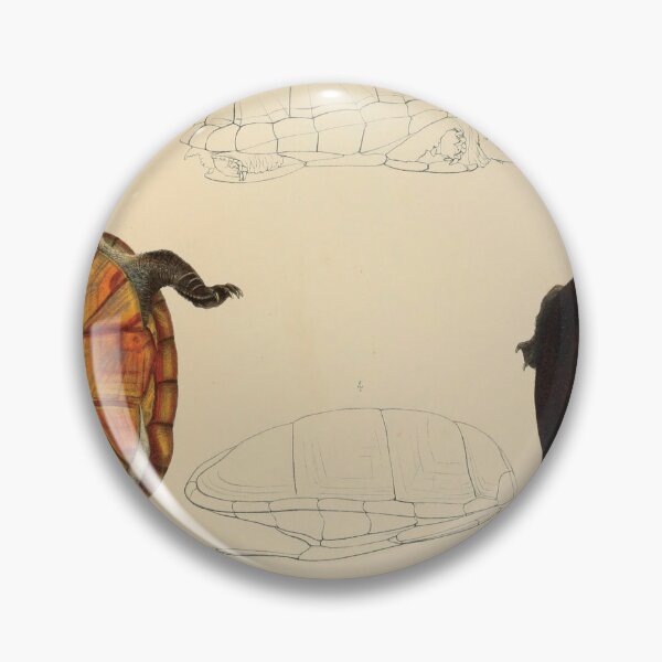 Item preview, Vintage Turtle Anatomy Illustration designed and sold by InnerCitadel.