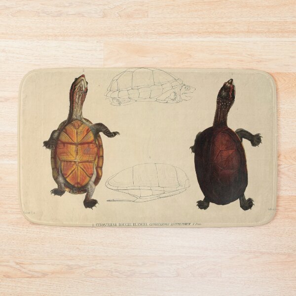 Item preview, Vintage Turtle Anatomy Illustration designed and sold by InnerCitadel.