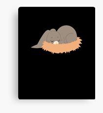 Rabbit bunny Canvas Print