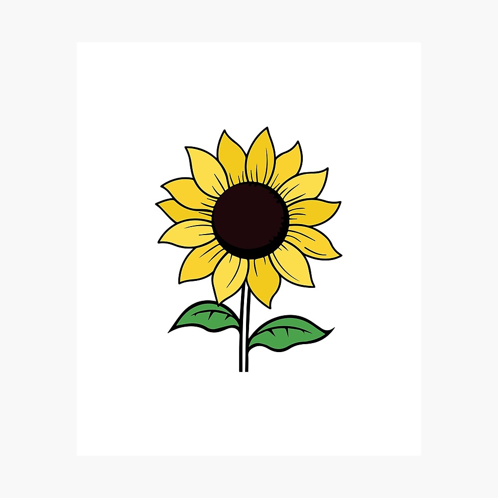 sunflower  Poster