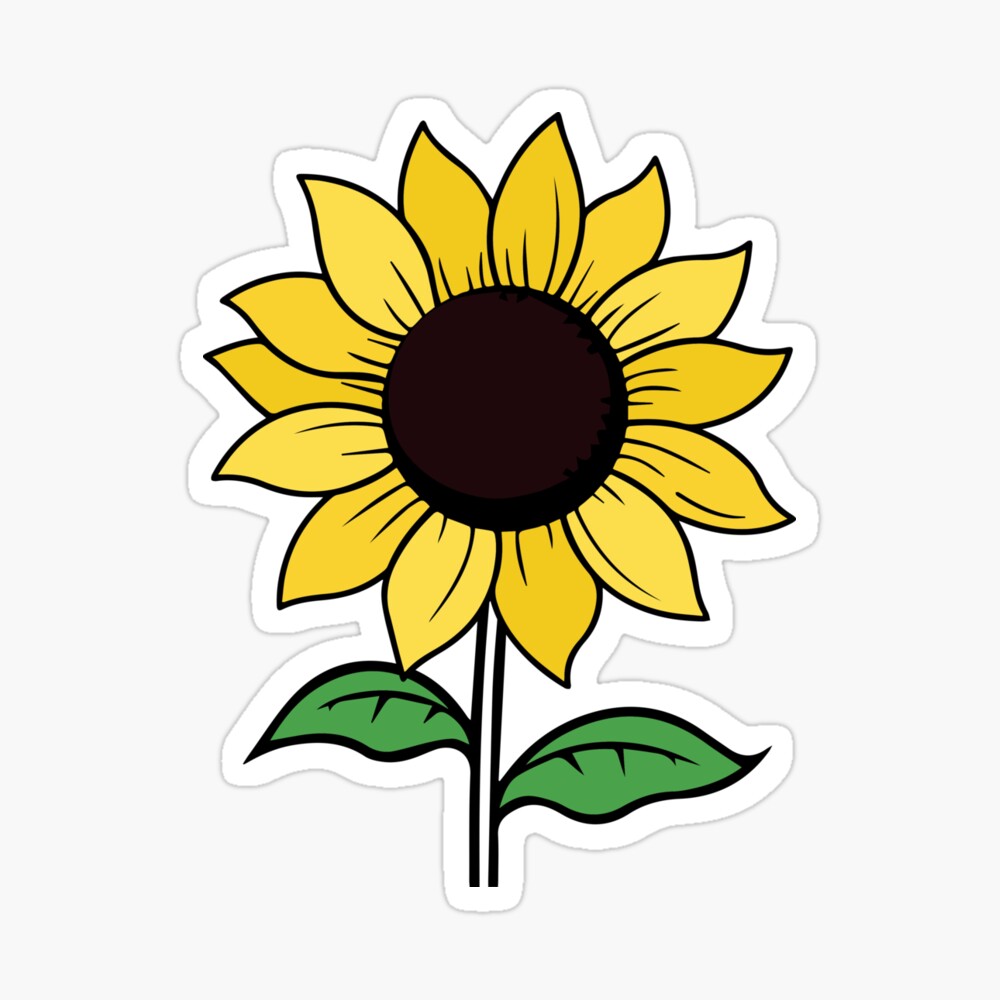 sunflower  Poster