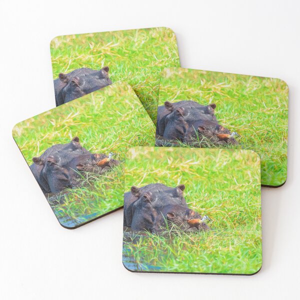 Item preview, The Hippo and the Jacana Bird designed and sold by Kay Brewer.