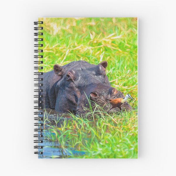Item preview, The Hippo and the Jacana Bird designed and sold by Kay Brewer.