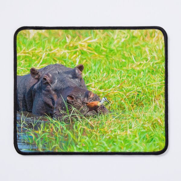 Item preview, The Hippo and the Jacana Bird designed and sold by Kay Brewer.