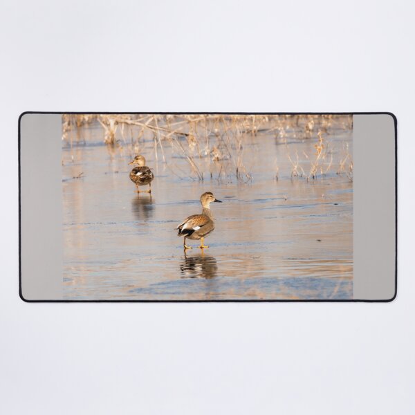 Item preview, Walking On Thin Ice designed and sold by Debra Martz.