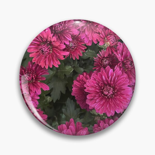 Item preview, Purple Mums designed and sold by SIpublishing.