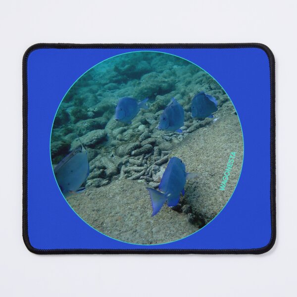 Item preview, Underwater - Gang of Blue Fish in Bonaire by Wagonesta designed and sold by Wagonesta.