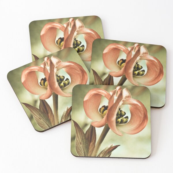 Item preview, Looking through designed and sold by Nikki Collier.
