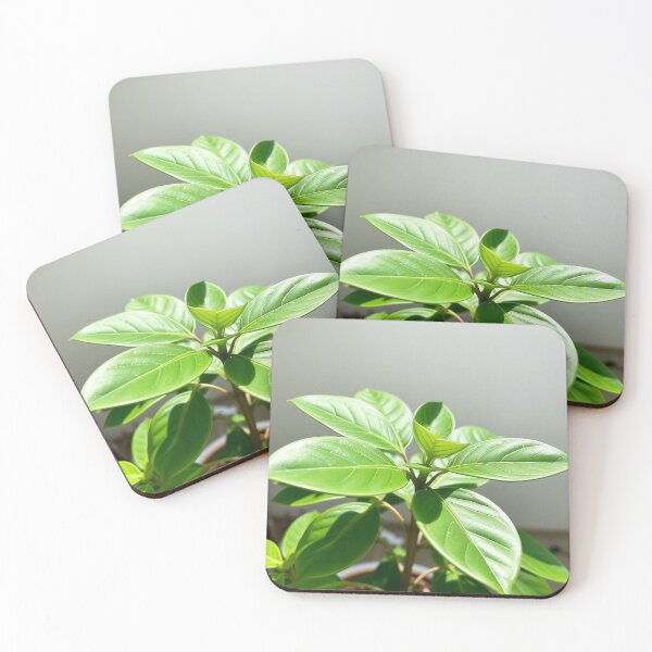 Item preview, Lush Greenery All designed and sold by TreatLLC.
