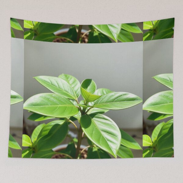 Item preview, Lush Greenery All designed and sold by TreatLLC.