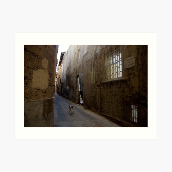Dog Street Art Print