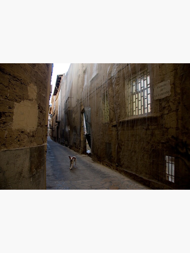 Dog Street by rogues70
